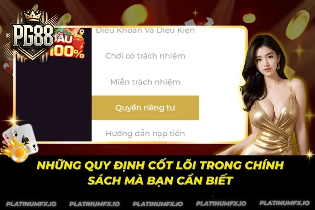 Các điều khoản cốt cán trong chính sách bảo mật